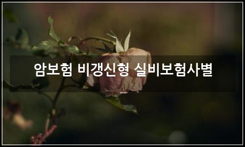 오늘의 이미지