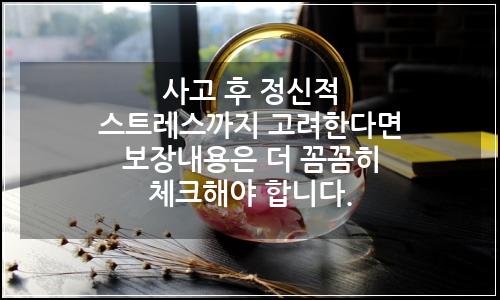 오늘의 이미지