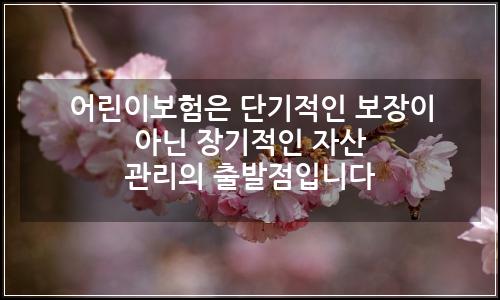 오늘의 이미지