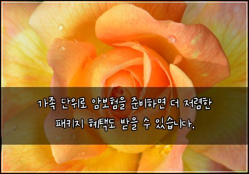 가족 단위로 암보험을 준비하면 더 저렴한 패키지 혜택도 받을 수 있습니다.