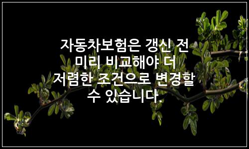 오늘의 이미지