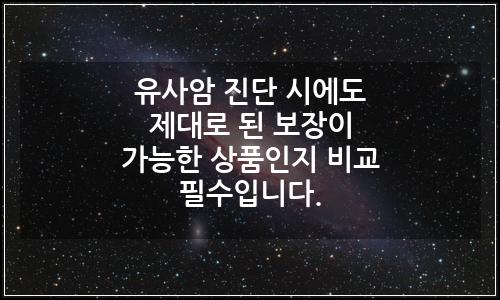 오늘의 이미지