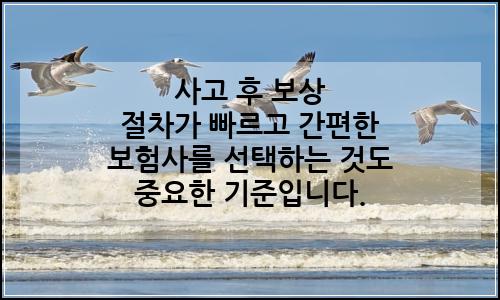 오늘의 이미지