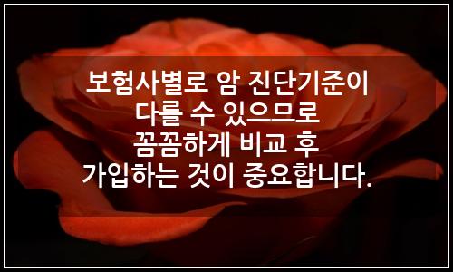 오늘의 이미지