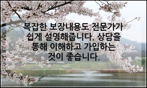 오늘의 이미지