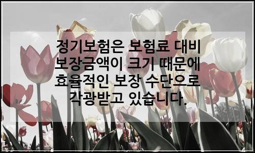 오늘의 이미지