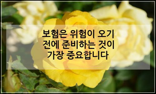 오늘의 이미지