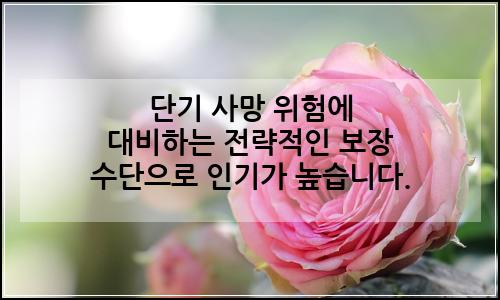 오늘의 이미지