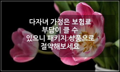오늘의 이미지