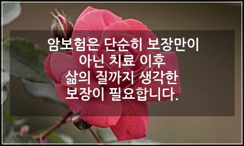 오늘의 이미지