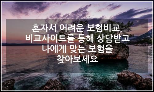오늘의 이미지