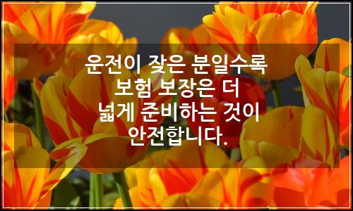 오늘의 이미지