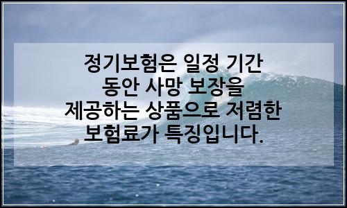 오늘의 이미지
