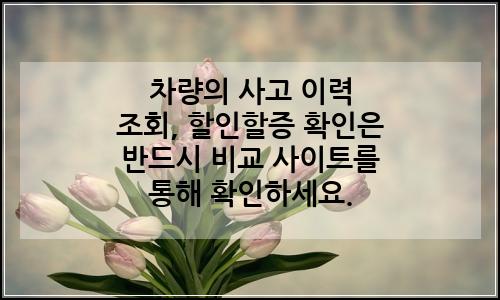 오늘의 이미지