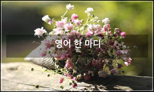 오늘의 이미지