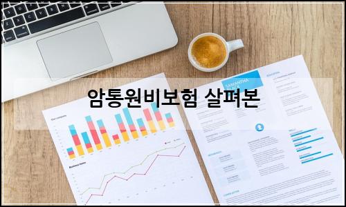 오늘의 이미지