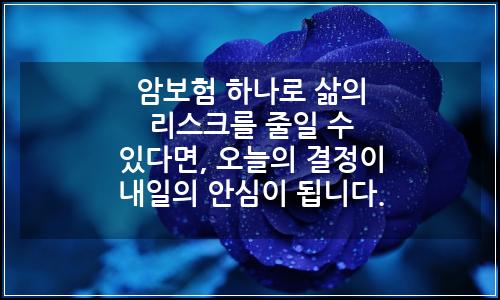 오늘의 이미지