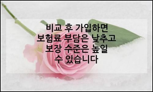 오늘의 이미지
