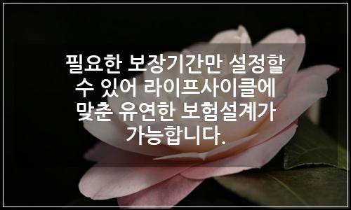 오늘의 이미지