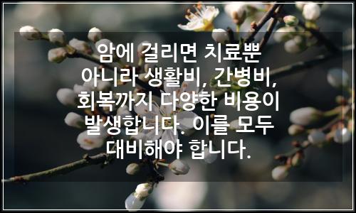오늘의 이미지