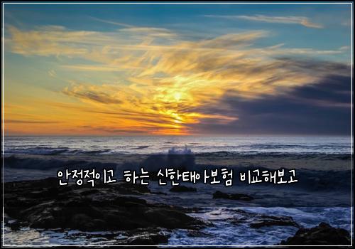 안정적이고 하는 신한태아보험 비교해보고 