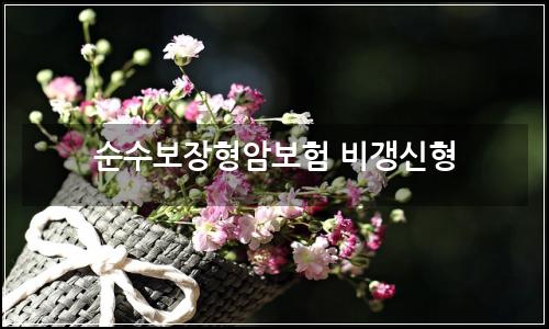 오늘의 이미지