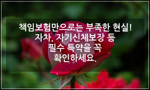 오늘의 이미지