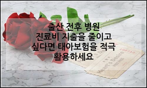 오늘의 이미지