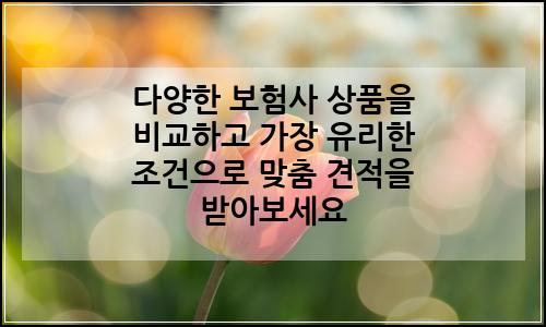 오늘의 이미지