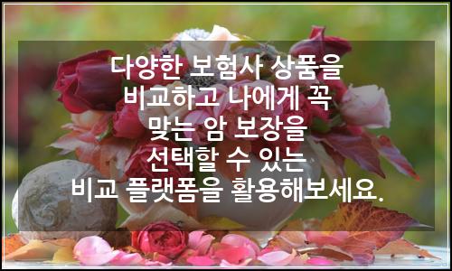 오늘의 이미지