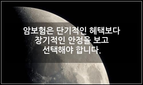 오늘의 이미지