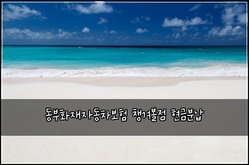 ๋๋ถํ์ฌ์๋์ฐจ๋ณดํ ์ฑ๊ฒจ๋ณผ์ ํ๊ธ๋ถ๋ฉ