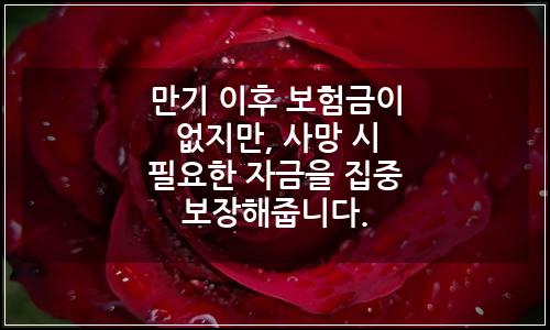 오늘의 이미지