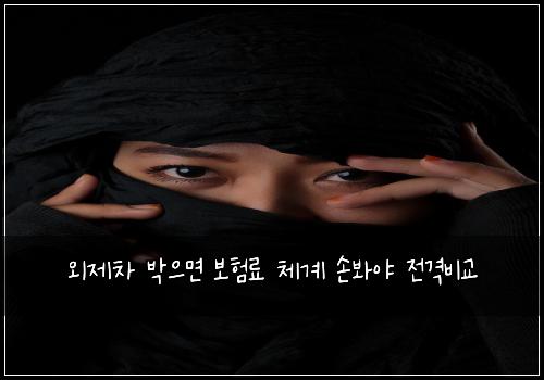 외제차 박으면 보험료 체계 손봐야 전격비교