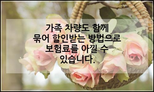 오늘의 이미지