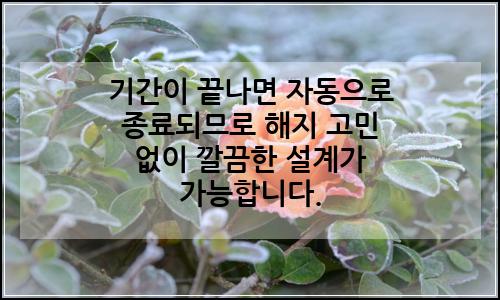 오늘의 이미지