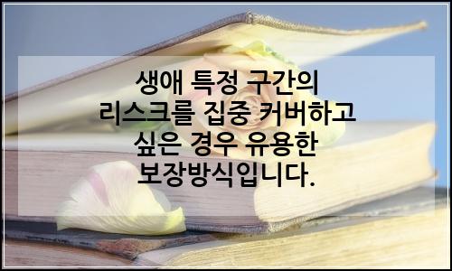 오늘의 이미지