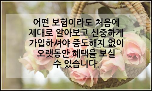 오늘의 이미지