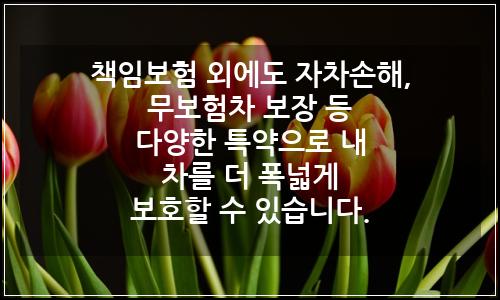 오늘의 이미지