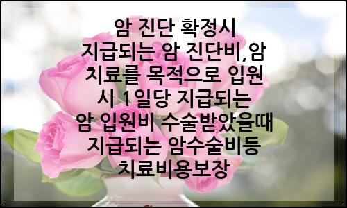 오늘의 이미지