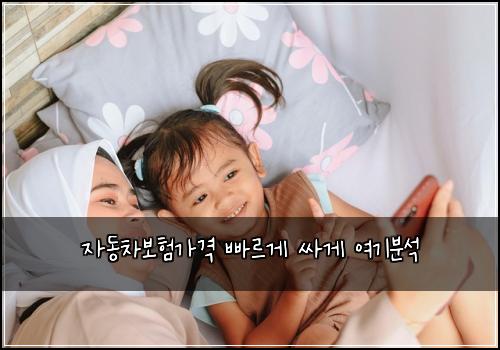 자동차보험가격 빠르게 싸게 여기분석