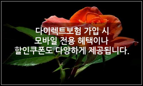 오늘의 이미지
