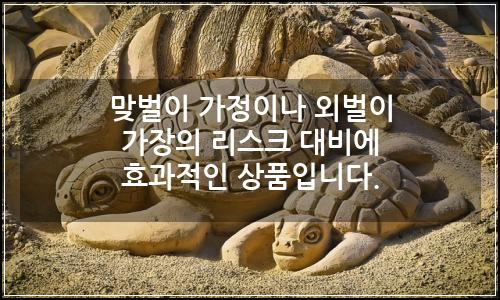 오늘의 이미지