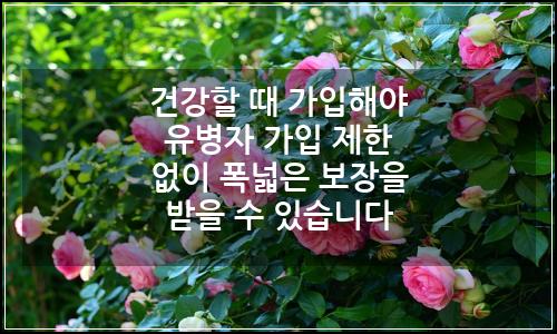오늘의 이미지