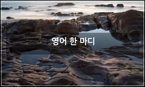 오늘의 이미지