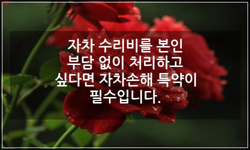 오늘의 이미지