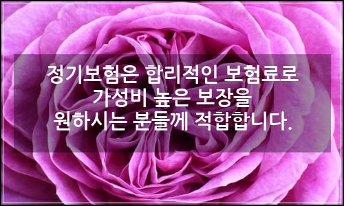 오늘의 이미지