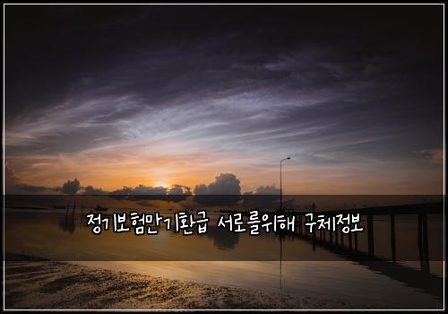 정기보험만기환급 서로를위해 구체정보