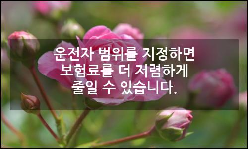 오늘의 이미지
