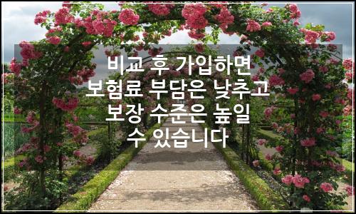 오늘의 이미지